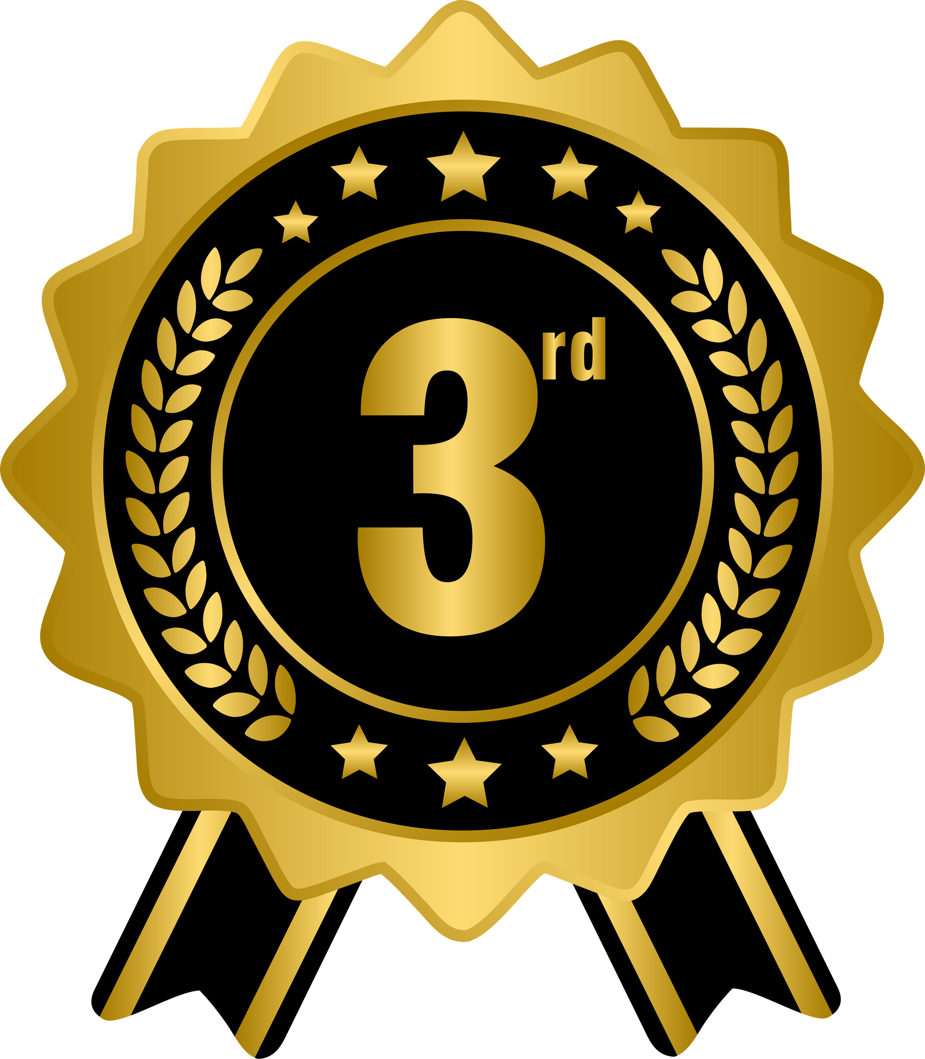 3rd golden award medal